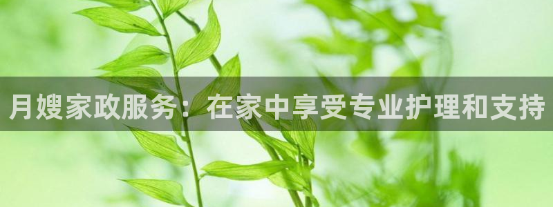 杏悦官方平台