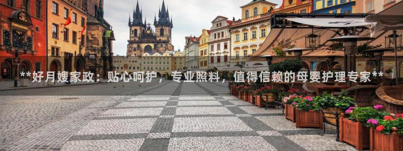 杏悦招商地址