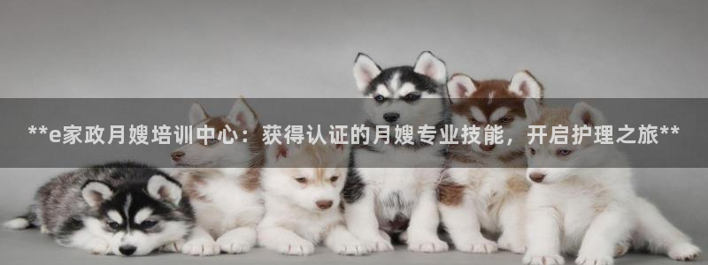 杏悦t首选推荐平台