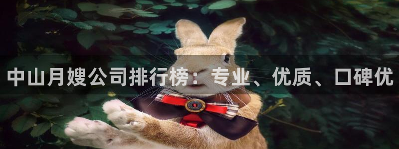 杏悦平台代理怎么做的