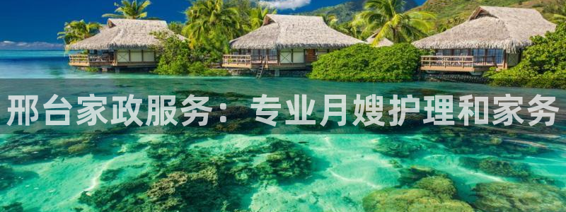 杏悦平台如何