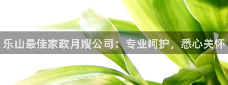 杏悦平台代理怎么赚钱快