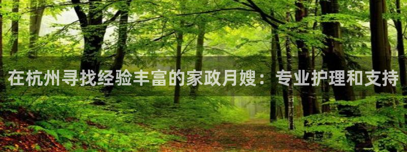 杏悦平台代理怎么赚钱