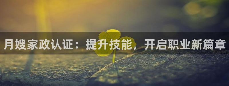 杏悦平台代理怎么做