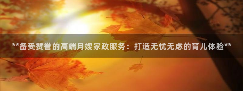 杏悦平台代理注册流程