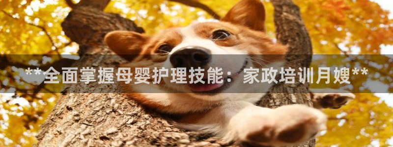 杏悦平台代理怎么样可靠吗