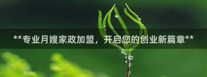 杏悦平台代理注册流程