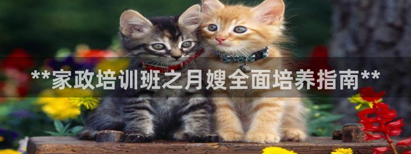 杏悦平台代理怎么赚钱