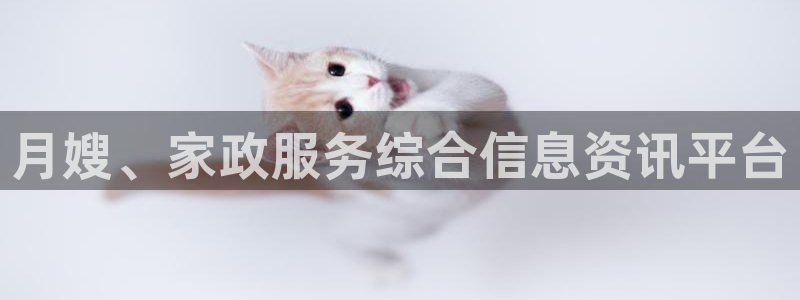 杏悦登录地址