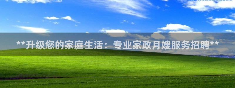 杏悦平台代理怎么样