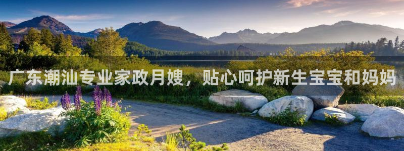 杏悦官方平台是正品吗知乎