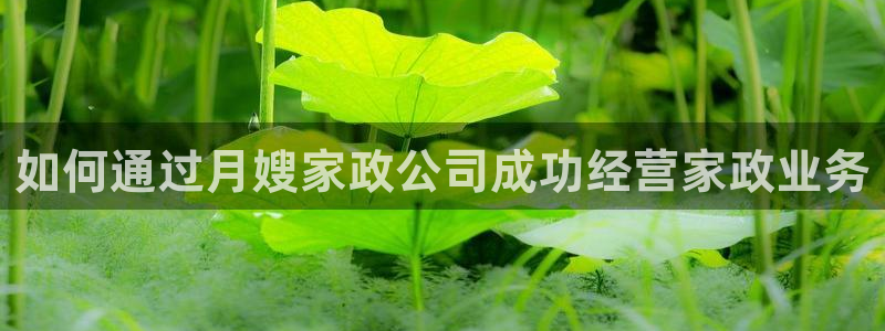 杏悦平台代理多少钱