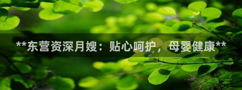 杏悦平台代理怎么样赚钱