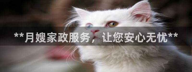 杏悦平台登录入口官网