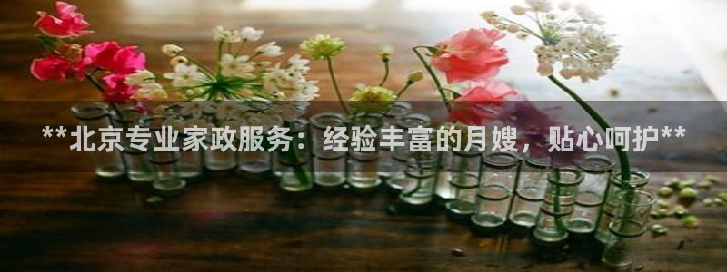 杏悦平台代理怎么赚钱快