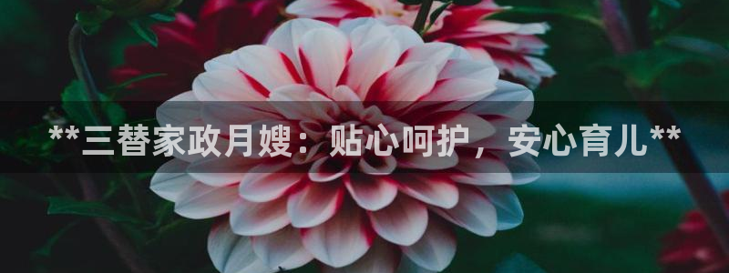杏悦官网注册信息在哪里查看