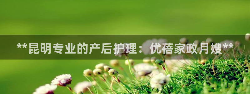 杏悦总代理