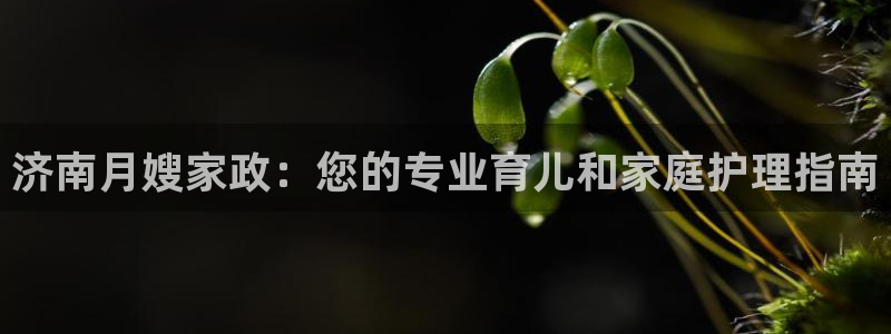 杏悦娱乐注册平台