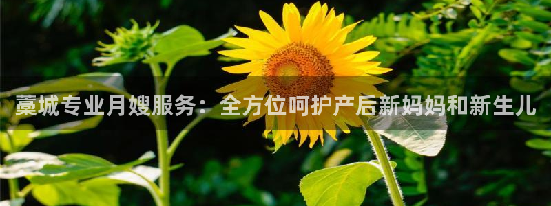 杏悦平台可靠吗是真的吗
