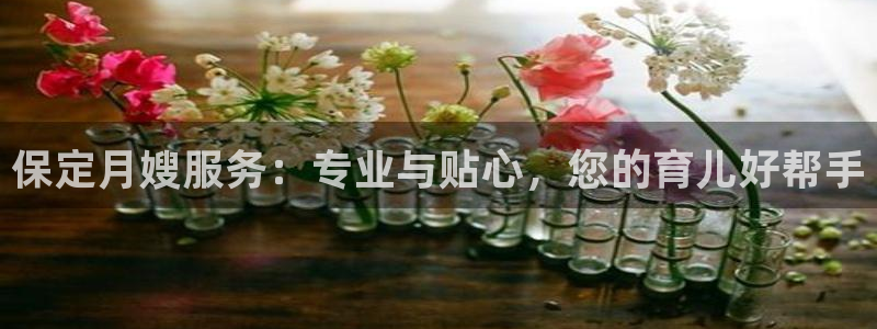 杏悦官方平台官网入口