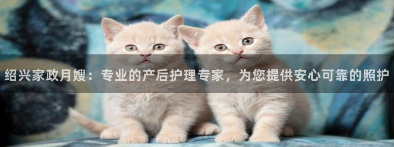 杏悦招商地址