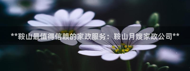 杏悦平台招商
