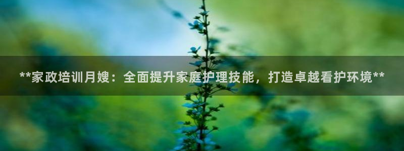 杏悦平台代理怎么赚钱