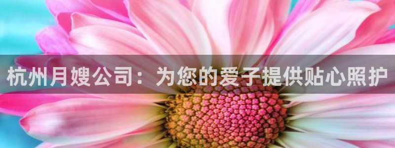 杏悦1招商地址