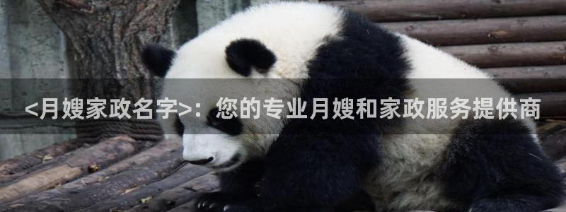 杏悦平台公司介绍