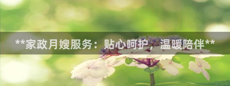 杏悦平台招商