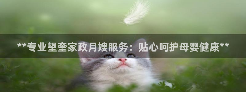 杏悦平台可靠吗是真的吗知乎