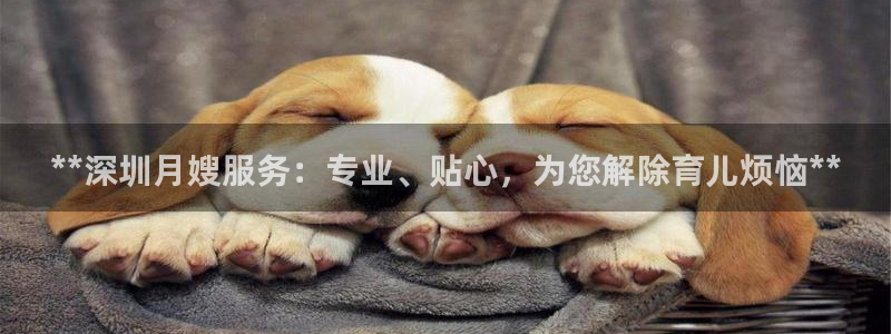 杏悦官方平台官网首页
