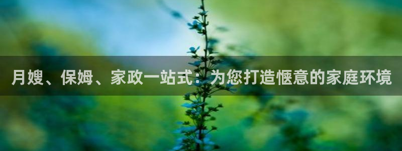 杏悦平台代理怎么做