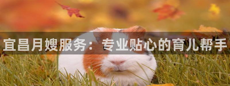 杏悦平台可靠吗