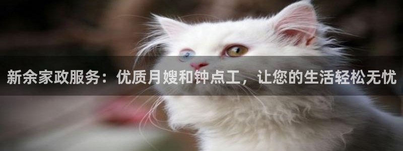 杏悦登陆地址