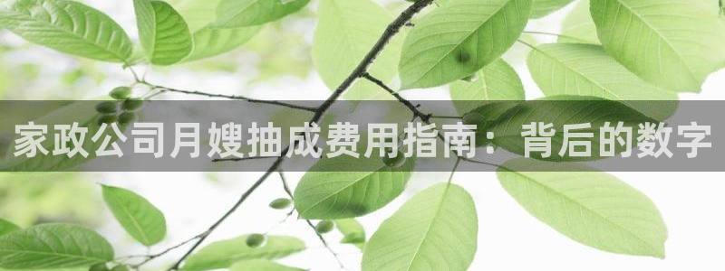 杏悦平台招商怎么样