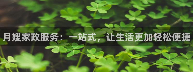 杏悦平台代理怎么赚钱的