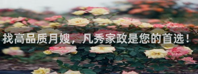 杏悦官方平台官网下载