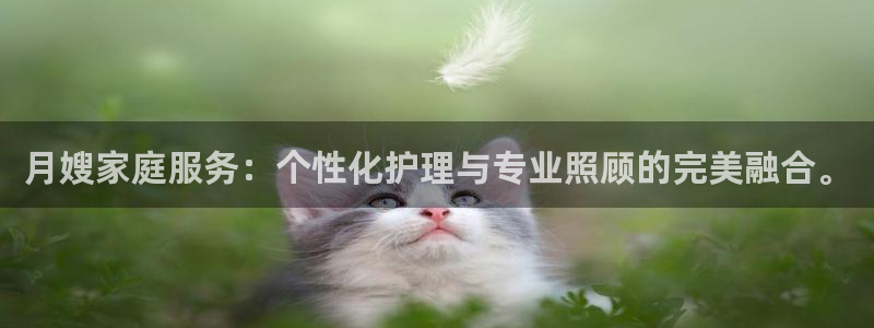 杏悦平台招商电话