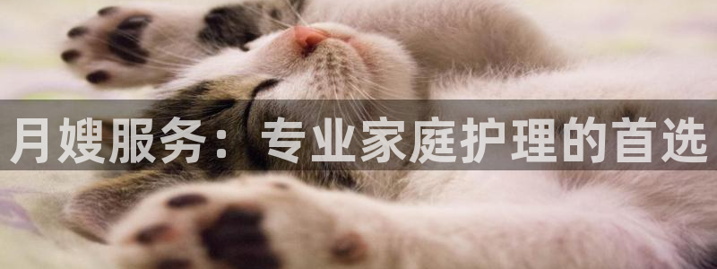杏悦平台可靠吗是真的吗吗
