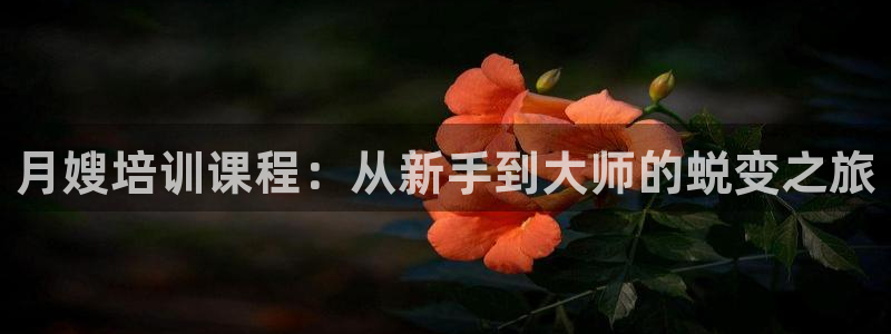 杏悦平台如何
