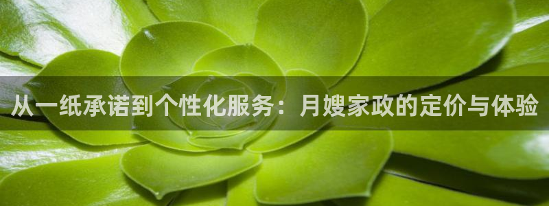 杏悦娱乐是什么