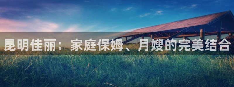 杏悦是什么平台