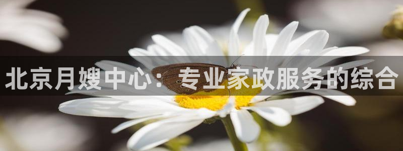 杏悦官方平台官网入口