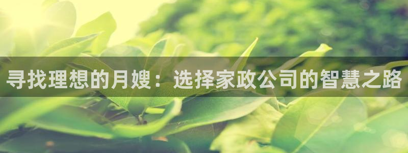 杏悦平台可靠吗可信吗安全吗