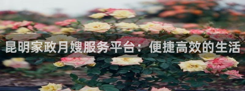 杏悦平台可靠吗可信吗安全吗