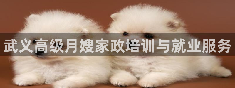 杏悦平台招商