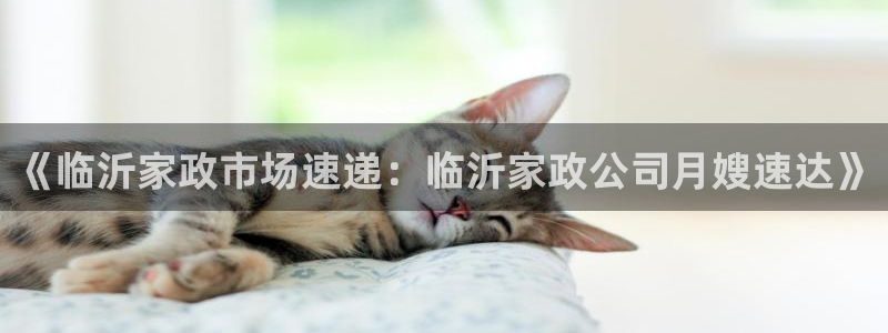 杏悦t首选推荐平台