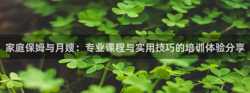 杏悦招商地址
