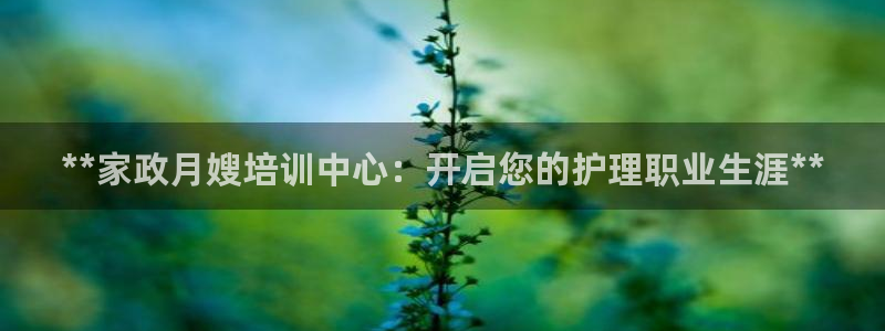 杏悦官方平台官网